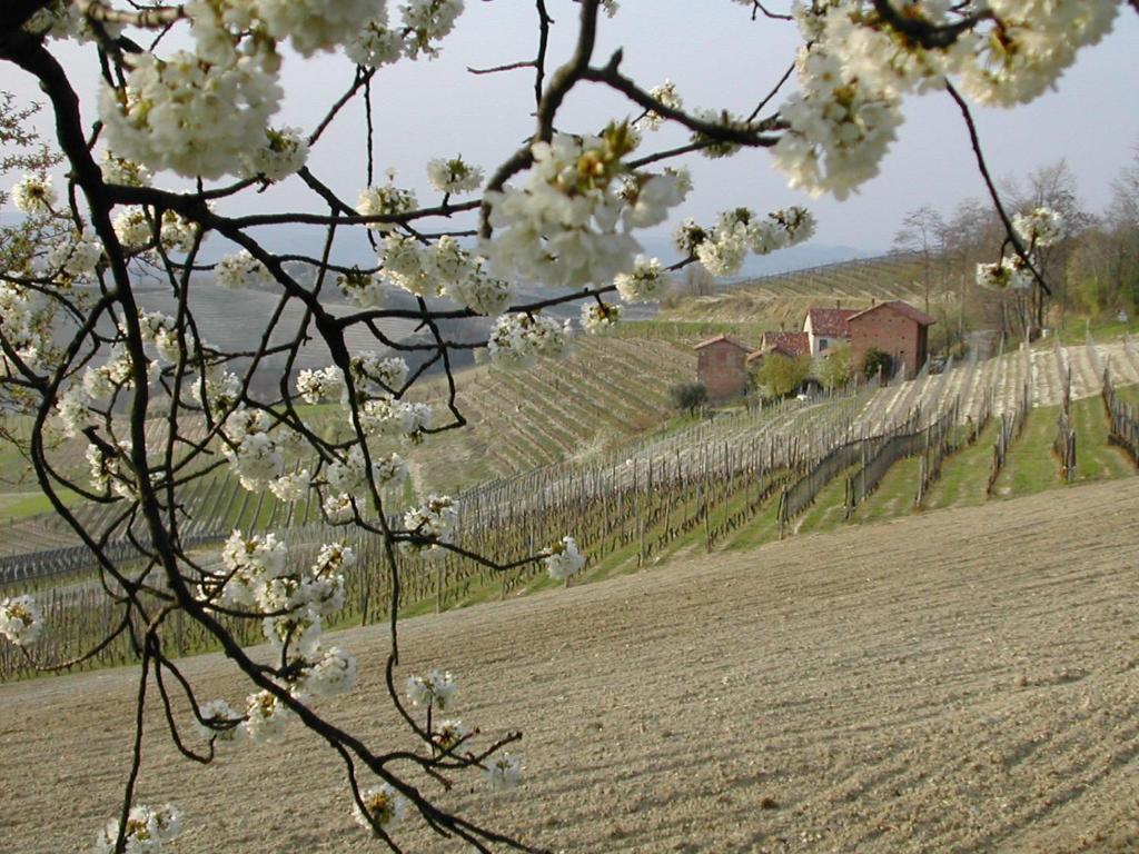 منزل الضيف Sinio  في Cascina Il Ginepro المظهر الخارجي الصورة